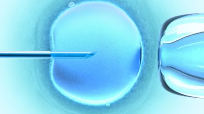 in-vitro-fertilization-a-guys-guide_flash